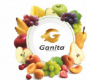 Ganita İmport Export